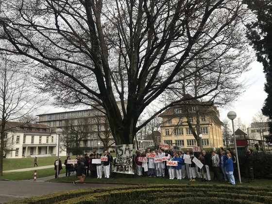 Die 100-jährige Rotbuche des Kantonsspitals Aarau soll leben!