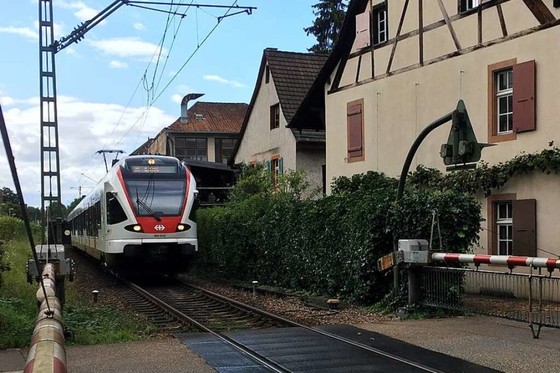 Petition "Keine S-Bahn-Doppelspur im Riehener Dorfzentrum"