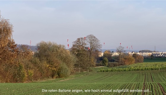 Würenlos: Beliebtes Naherholungsgebiet Steindler erhalten – Deponie verhindern!
